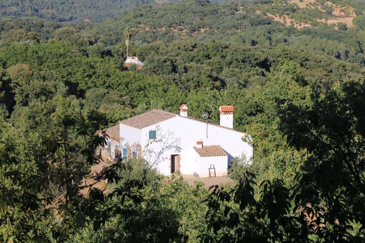 Casa Rural Castillo 哈武戈 外观 照片